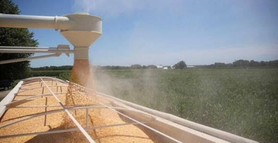 Importação e safra recorde de milho na China pressiona preços da commodity