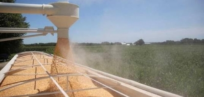 Importação e safra recorde de milho na China pressiona preços da commodity