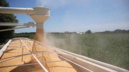 Importação e safra recorde de milho na China pressiona preços da commodity