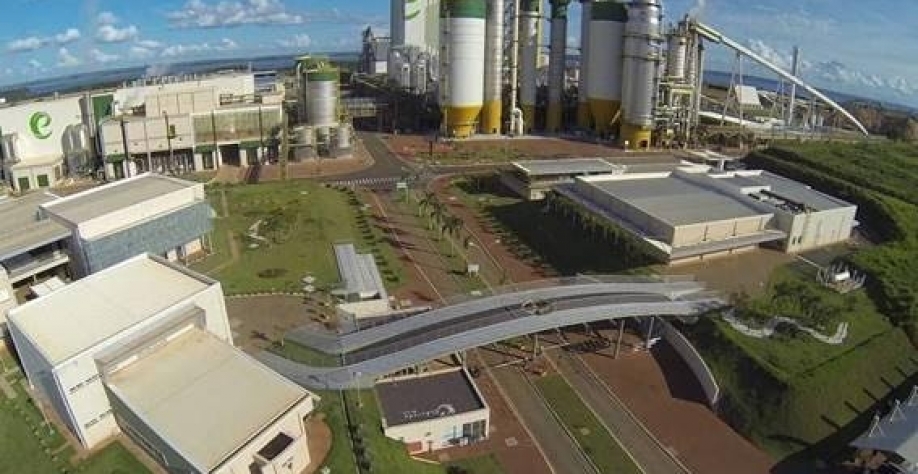 MPF diz que Paper não pode assumir controle da Eldorado