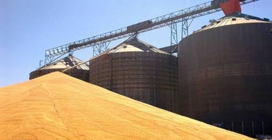 Aprosoja-MT quer meio bilhão para alongar dívidas de produtores do estado