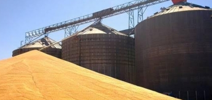 Aprosoja-MT quer meio bilhão para alongar dívidas de produtores do estado