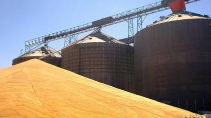 Aprosoja-MT quer meio bilhão para alongar dívidas de produtores do estado