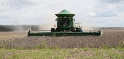 Crescimento do PIB brasileiro pode ser maior que o esperado mais uma vez