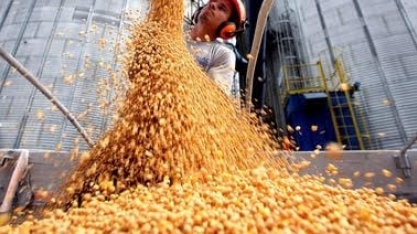 Investimento no agro deve desacelerar em 2024 em meio a safra menor