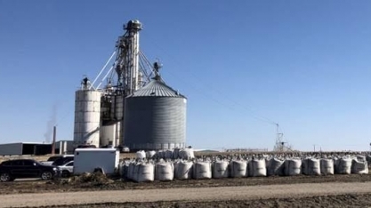 Governo quer 30% de etanol na gasolina; quanto é necessário investir?