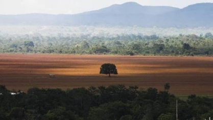 Desmatamento cai pela metade na Amazônia e sobe 43% no cerrado em 2023