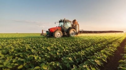 Um panorama para o agro de 2024 - Por Helen Jacintho