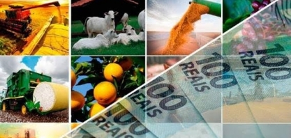 Um ano para cuidar do caixa e revisar planejamento