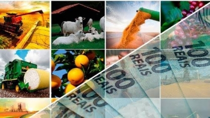 Um ano para cuidar do caixa e revisar planejamento