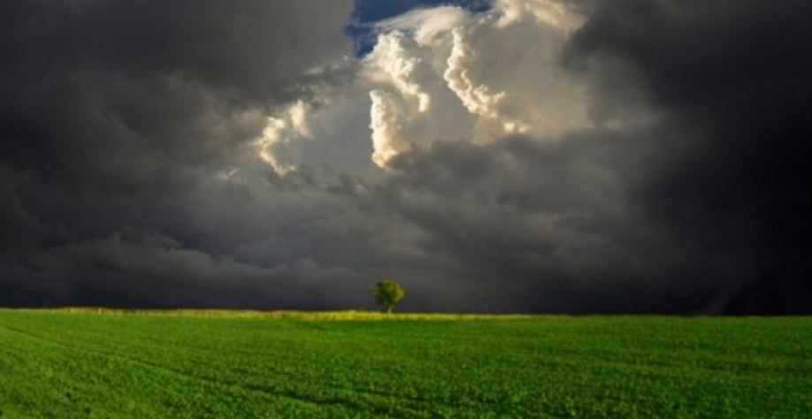 Chuvas trazem alívio no Sul, mas preço ainda preocupa produtores 