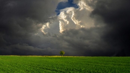 Chuvas trazem alívio no Sul, mas preço ainda preocupa produtores 
