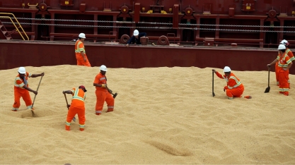 Soja: Exportação em 2023 cresce 29,37% em volume e 14,33% em receita