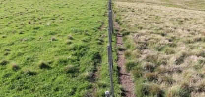 Plano de conversão de pastagens degradadas deve sair até fim de fevereiro