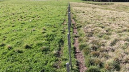 Plano de conversão de pastagens degradadas deve sair até fim de fevereiro