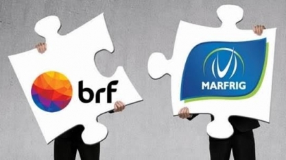 Marfrig avança mais e atinge 50% da BRF