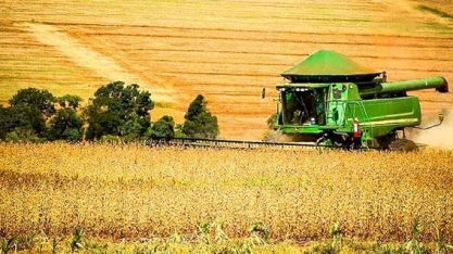 Safra e preço menores, um cenário não esperado pelo produtor