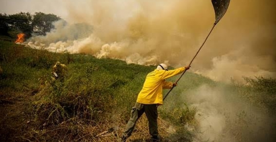 ICMBio: Servidores aderem à greve por melhores condições de trabalho