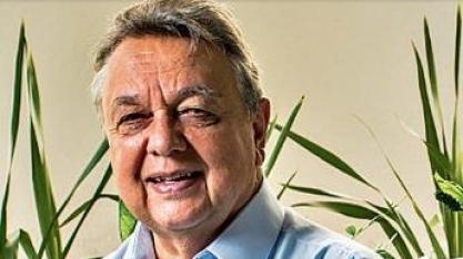 Apesar da mudanças na Câmara,estrutura do mercado de carbono está nebulosa