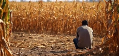 Recuperação Judicial no agro deve crescer este ano