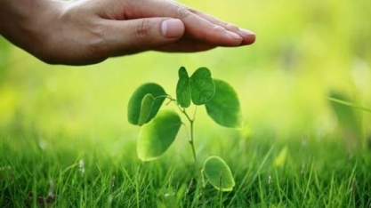 Governo deve reformular seguro rural após alta de custos com clima