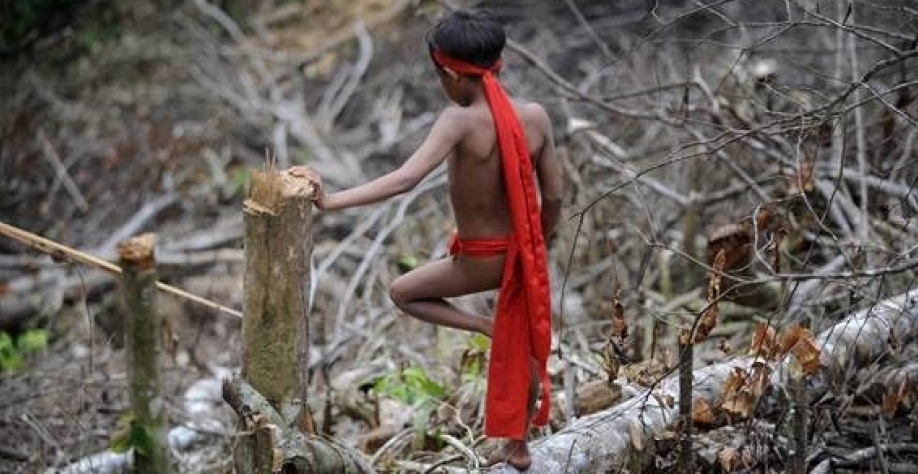 Como governo quer combater a fome na Terra Indígena Yanomami