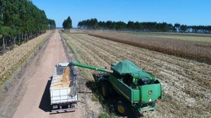 Cidades do agro não desmataram mais que outras e criaram novos negócios