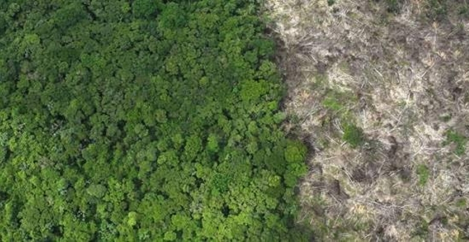 Amazônia bate recorde de queimadas em fevereiro