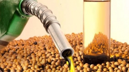 Mistura de 20% eleva uso de soja para 42 mi de toneladas no biodiesel