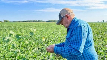 Estados Unidos devem plantar mais soja e menos milho nesta safra