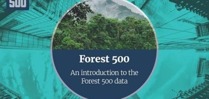 Empresas do agro se destacam no ranking global de combate ao desmatamento