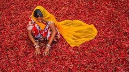 Como a IA vem aumentando a produtividade das fazendas na Índia