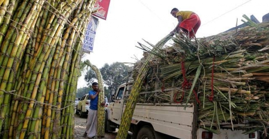 Índia quer desviar mais açúcar para etanol com melhora na safra