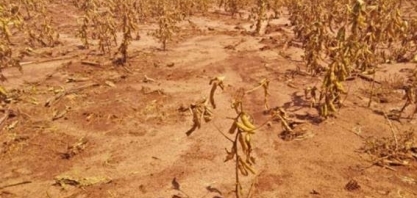 43 municípios de Mato Grosso declararam “Situação de Emergência”