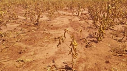 43 municípios de Mato Grosso declararam “Situação de Emergência”