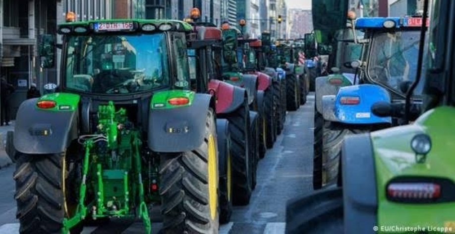 Por que agricultores europeus sofrem distúrbios psicológicos 