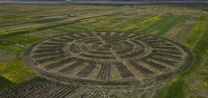 Waru waru', antiga técnica dos Andes, é resgatada contra crise climática