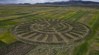 Waru waru', antiga técnica dos Andes, é resgatada contra crise climática