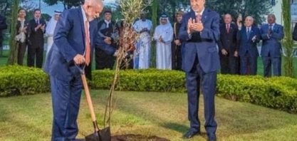 Lula planta pé de oliveira e pergunta quando nascem as uvas; veja vídeo