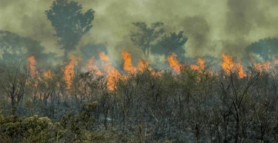 Amazônia caminha para ponto de inflexão rumo ao colapso até 2050