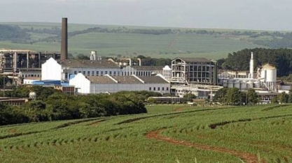 Lucro da São Martinho cai pela metade no 3º tri da safra 23/24