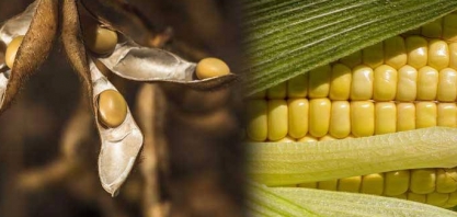 Volume das exportações aumenta, mas preços externos mantêm queda