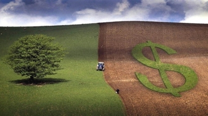 Valor Bruto da Produção Agropecuária recua 2,6% em 2023