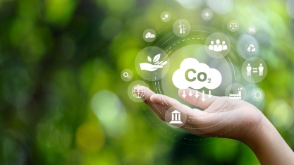 O mercado de carbono brasileiro - Por Plínio Ribeiro