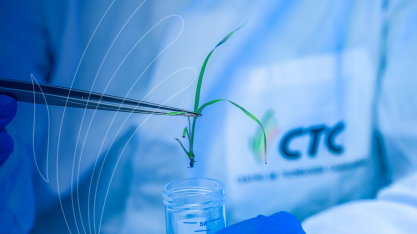 CTC registra lucro líquido de R$ 41,4 milhões no 3TRI, + 24% ante 3 TRI24