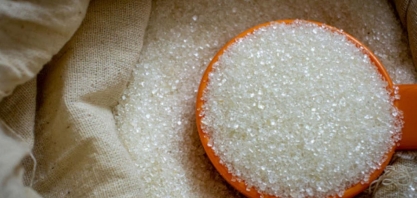 Açúcar: Análise Conjuntural Agromensal Janeiro/24 do Cepea/Esalq/USP