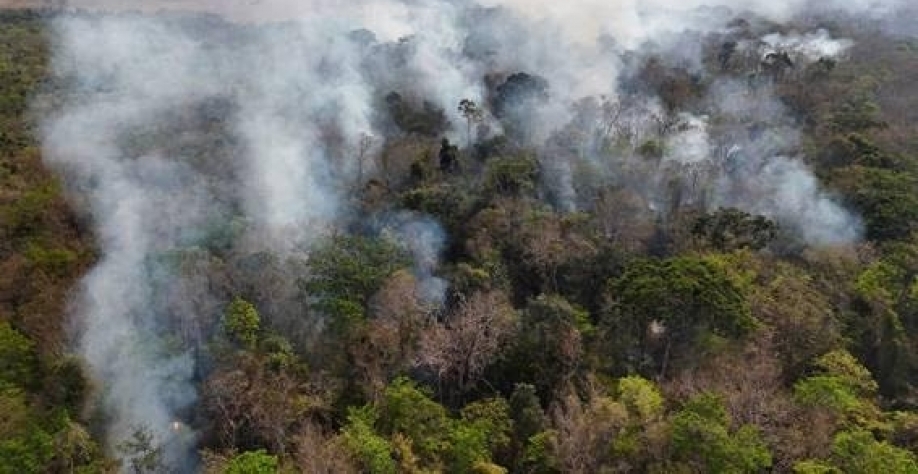 Emissões por queimadas em fevereiro são as maiores desde 2003