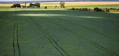 Com clima e preços desfavoráveis, CNA pede medidas do governo