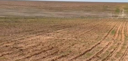 Clima eleva quebra de safra de grão para 18 milhões de toneladas