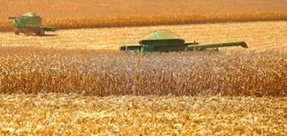 Agro pleiteia antecipação de parte do Plano Safra para renegociar dívidas